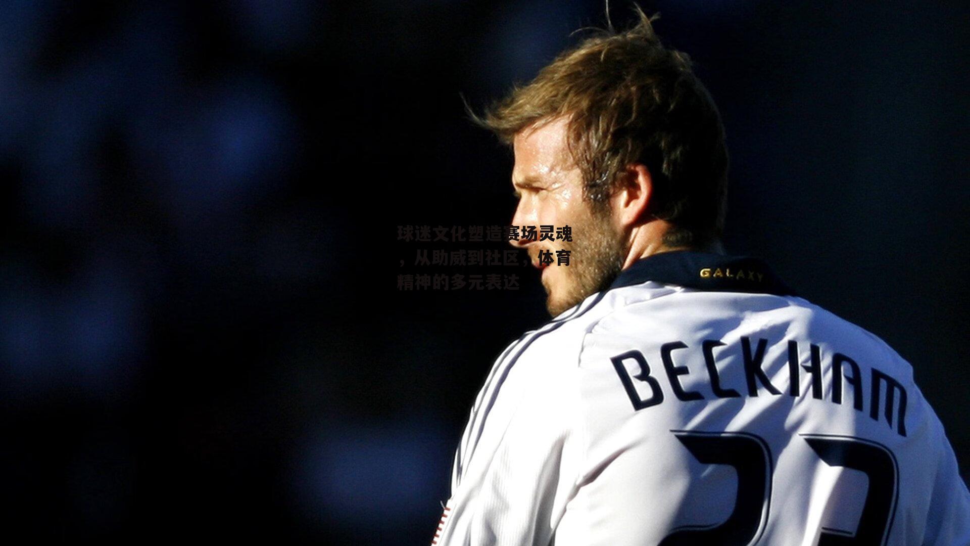 球迷文化塑造赛场灵魂,从助威到社区,体育精神的多元表达