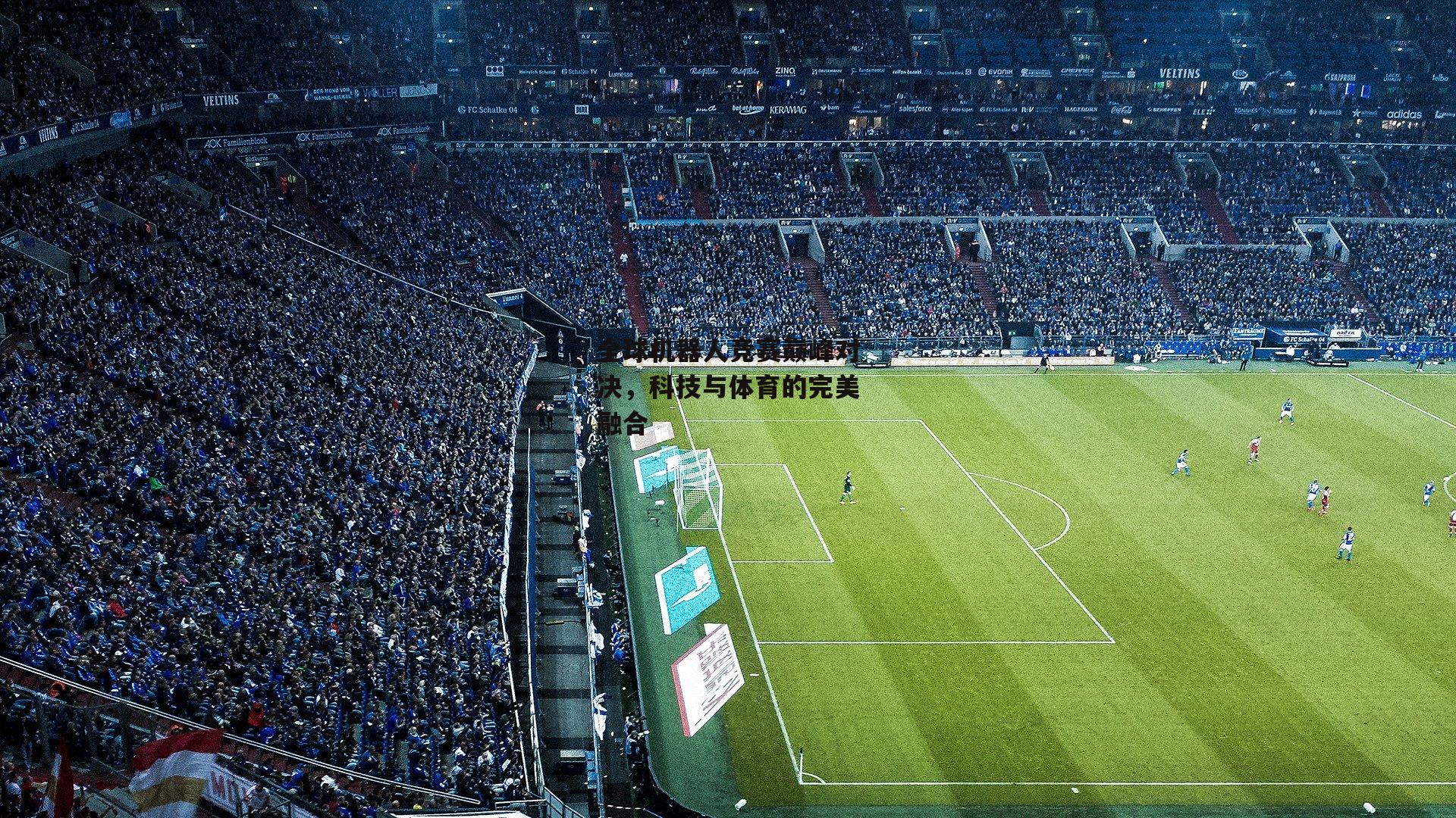 全球机器人竞赛巅峰对决，科技与体育的完美融合